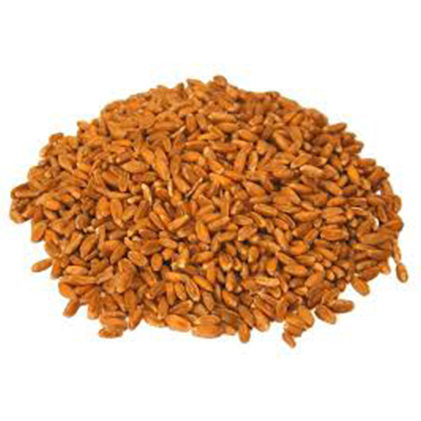 Red hard wheat 1 ton protein 12